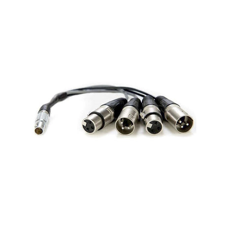Atomos 10-Pin LEMO Type to XLR Breakout Cable for Shogun - ATOMCAB016