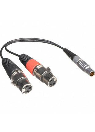 Atomos XLR Breakout Cable for Shogun - ATOMCAB017