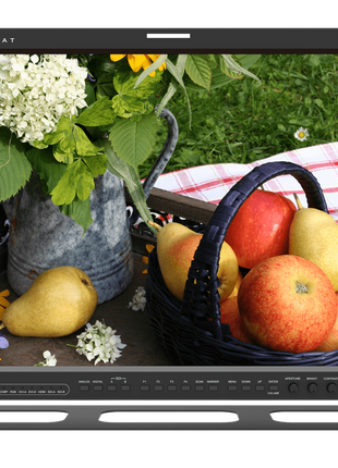 TVLogic LVM-246A  24" Full HD Professional LCD Monitor