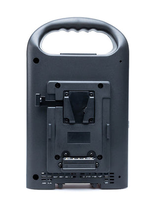 FXLion PL-Q280B 2-Kanaals V-Mount Acculader